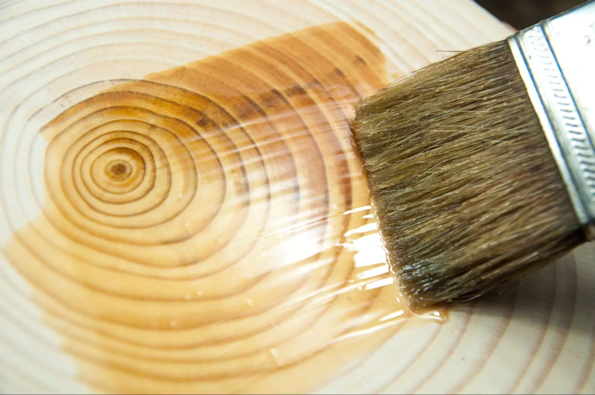 Panduan Coating Kayu untuk Proyek Interior dan Eksterior Terbaik